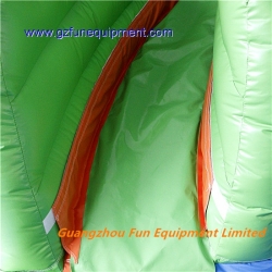 Frog inflatable water slide / inflatable slide with pool