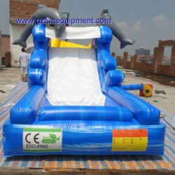Imagic inflatable dophin slide with water pool
