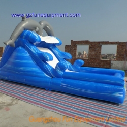 Imagic inflatable dophin slide with water pool