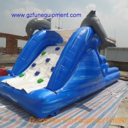 Imagic inflatable dophin slide with water pool