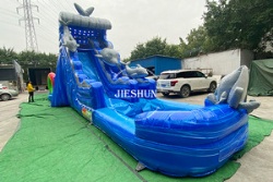 Puffer fish inflatable slide