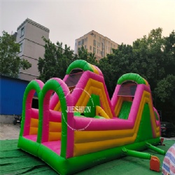 Chroma inflatable obstacle course